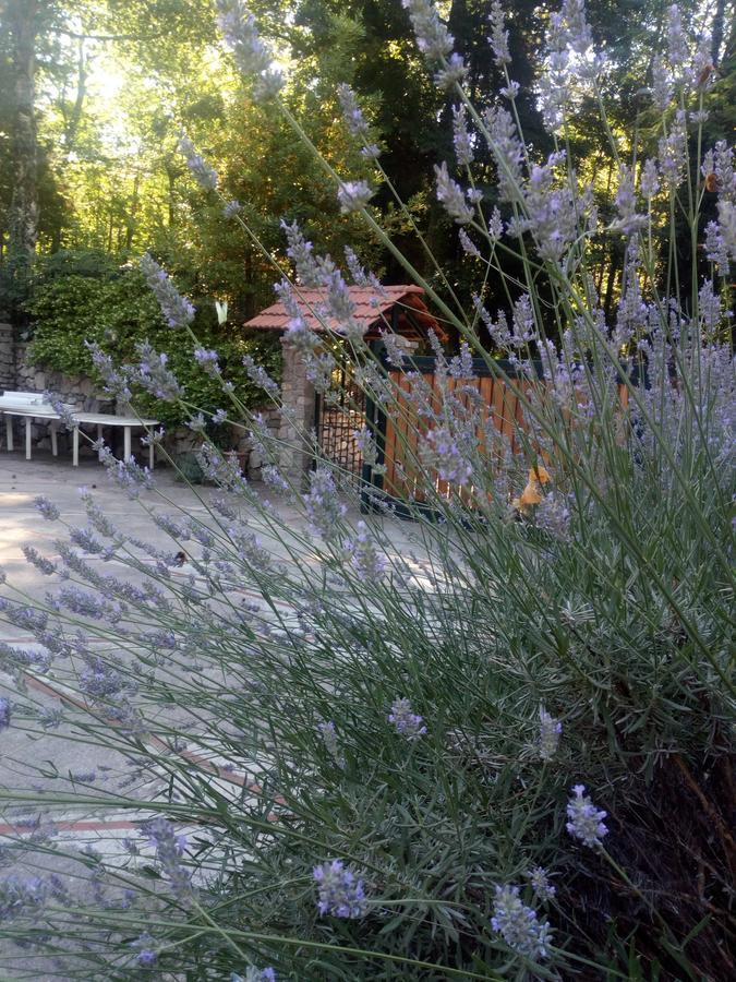 Al Castagno Bed and Breakfast Vico Equense Exterior foto