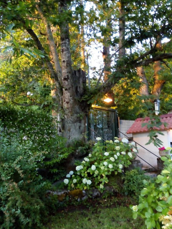 Al Castagno Bed and Breakfast Vico Equense Exterior foto