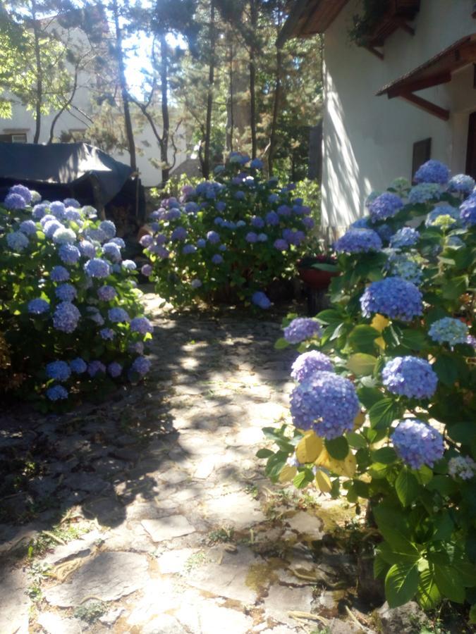 Al Castagno Bed and Breakfast Vico Equense Exterior foto